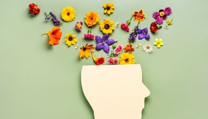 mental-saglik-icin-pilates-stres-yonetimi-ve-sinir-sistemi-uzerindeki-etkiler